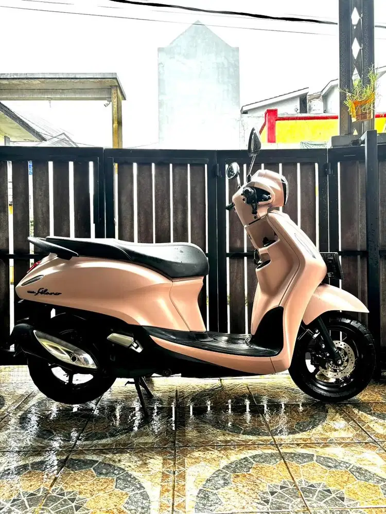 Filano THN 2025 Muluss Gress