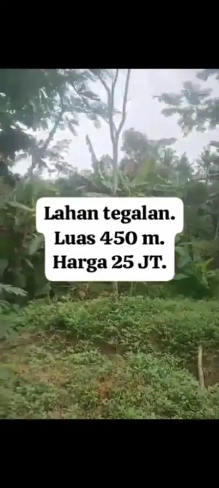 Jual tanah lokasi desa Klego andong byl lt 450m hrg 25jt net