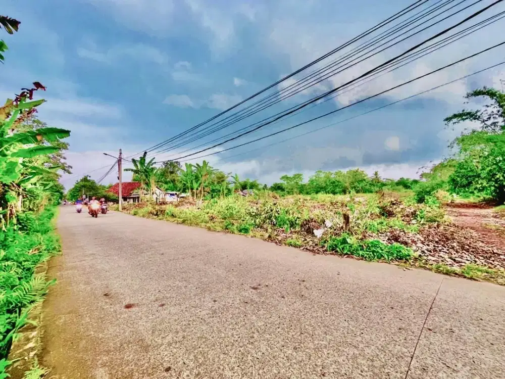 Tanah Murah Cisauk, Pas Untuk Tabungan Strategis Dekat Stasiun