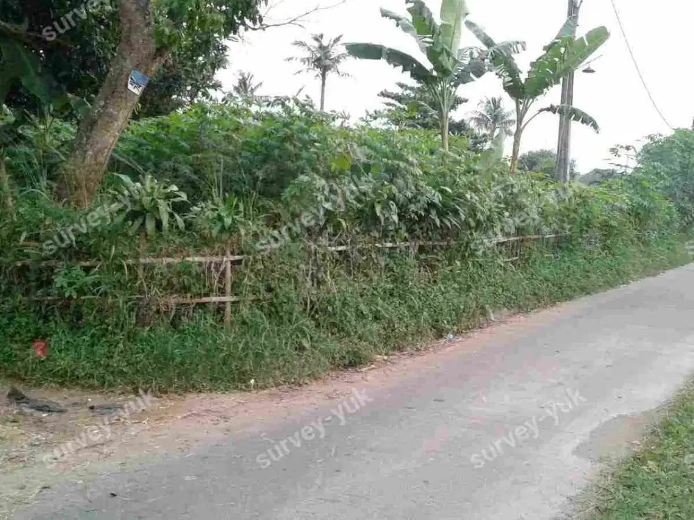 Tanah Luas 4115 m2 SHM Strategis Akses jalan luas Pamulang - Tangsel