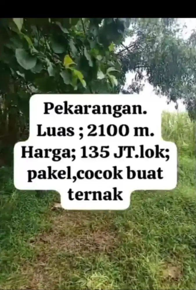 Jual tanah lokasi desa pakel andong lt 2100mtr SHM hrg 135jt