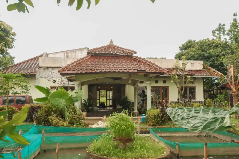 Rumah Asri di Ciomas Bogor