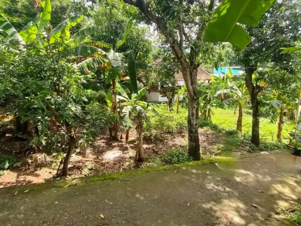 Tanah Pekarangan di Wukirsari Imogiri Bantul