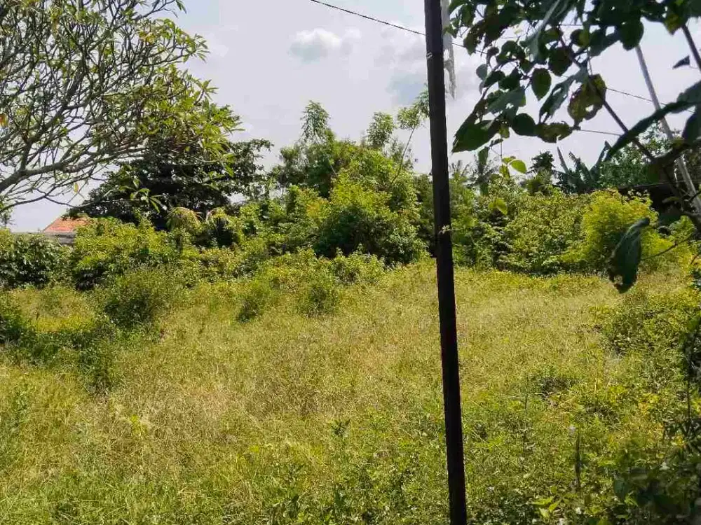 di jual tanah tegalan zona kuning strategis desa kramas gianyar