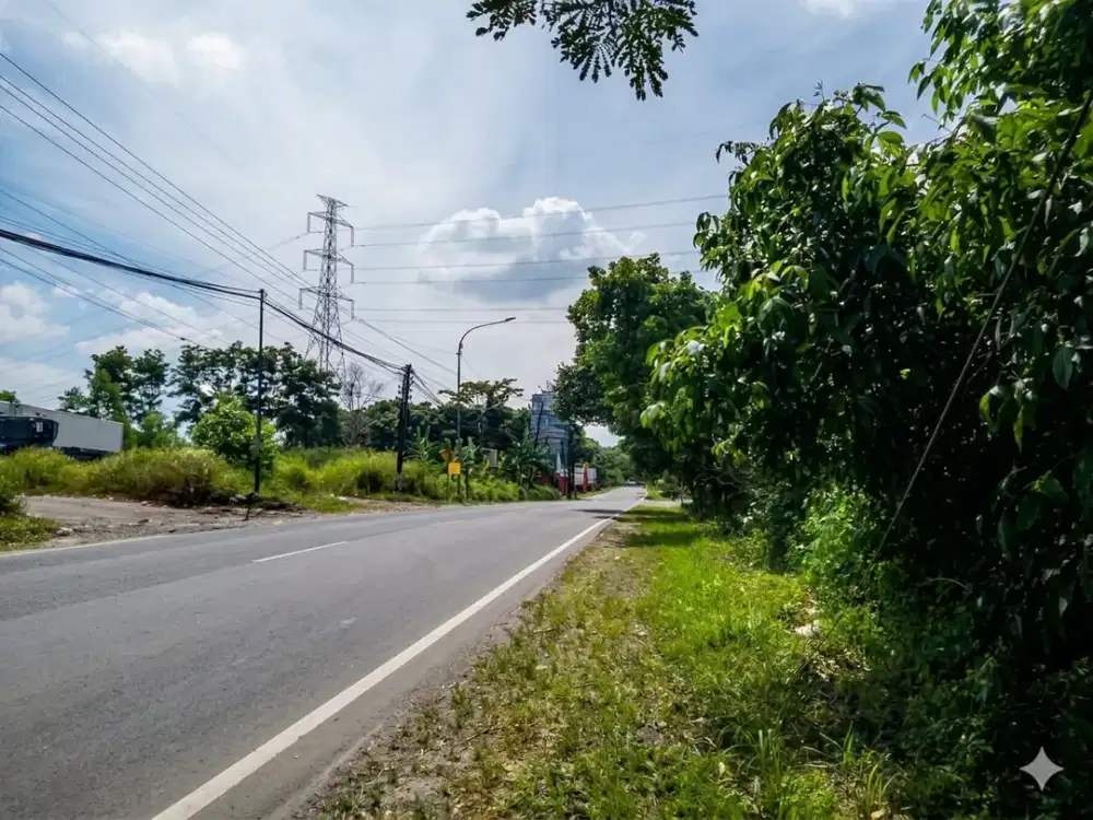 Dijual Tanah SHM Luas 12.500 m² – Kesempatan Emas!