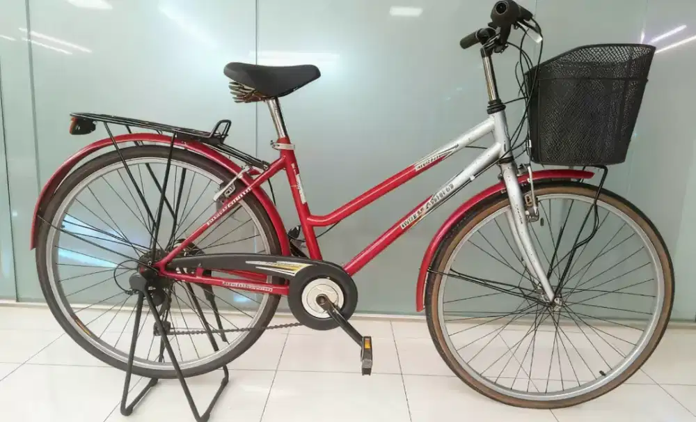 Sepeda mini keranjang polygon