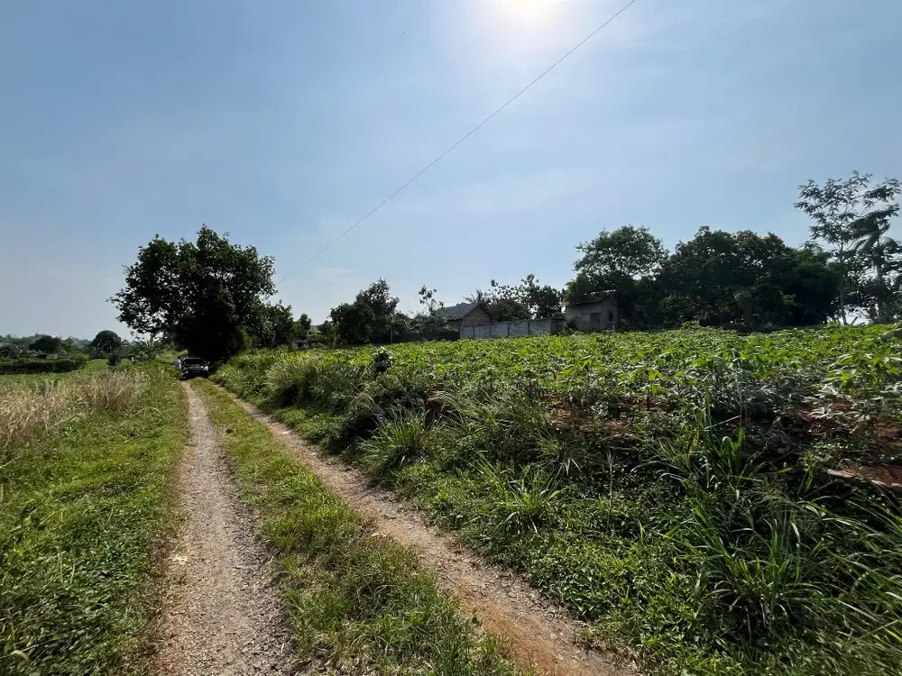 Tanah 390m² Akses Mobil 5 Menit Jl Raya BojonggedeKemang Cocok Cluster