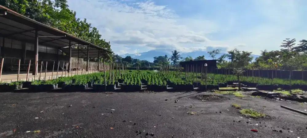 Disewakan : 
Tanah +/- 3500 m2 LB 450 m2