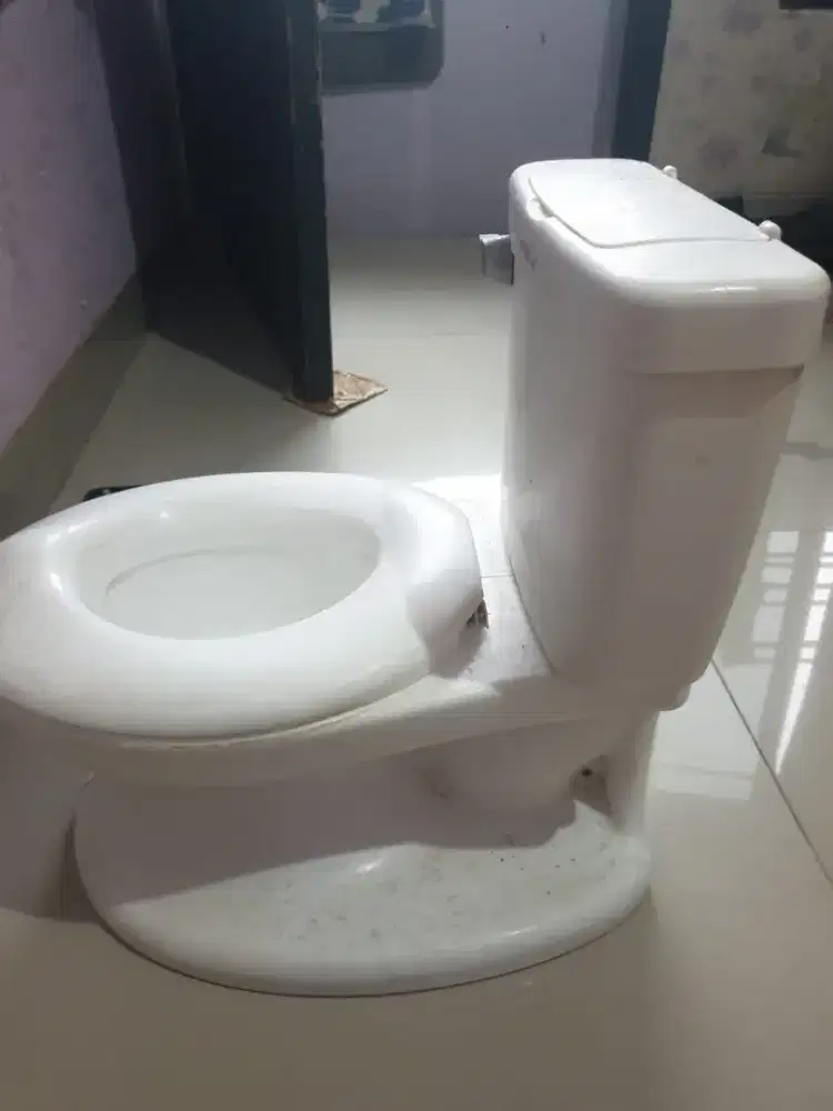 Trainning toiletttt buat anak