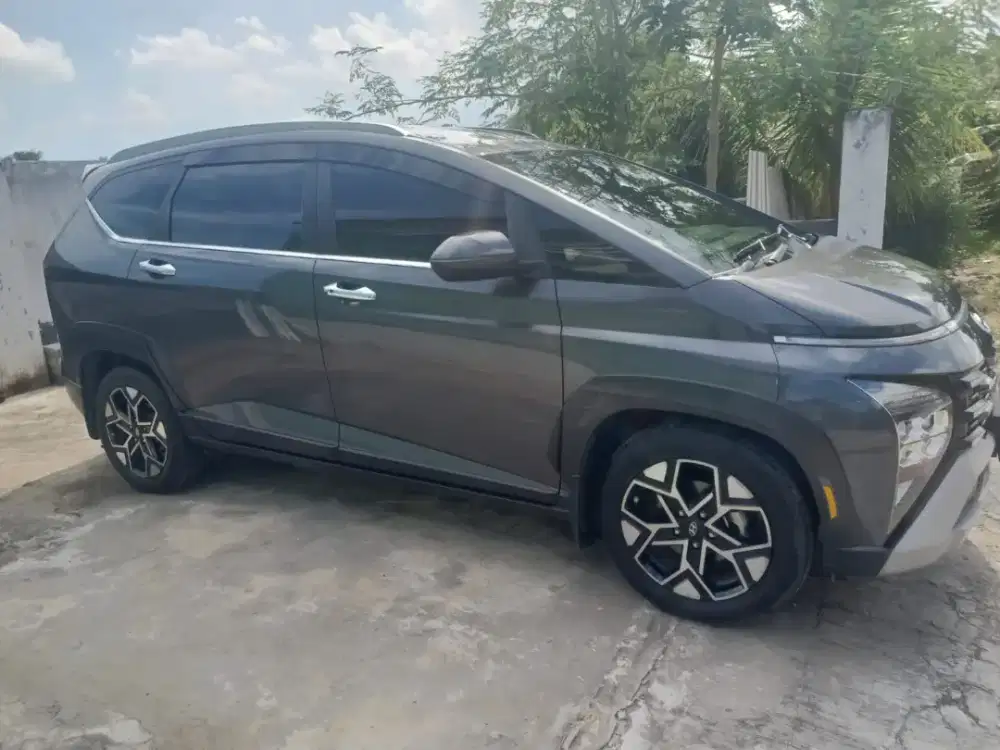 stargezer tipe paling tinggi ( prime x )