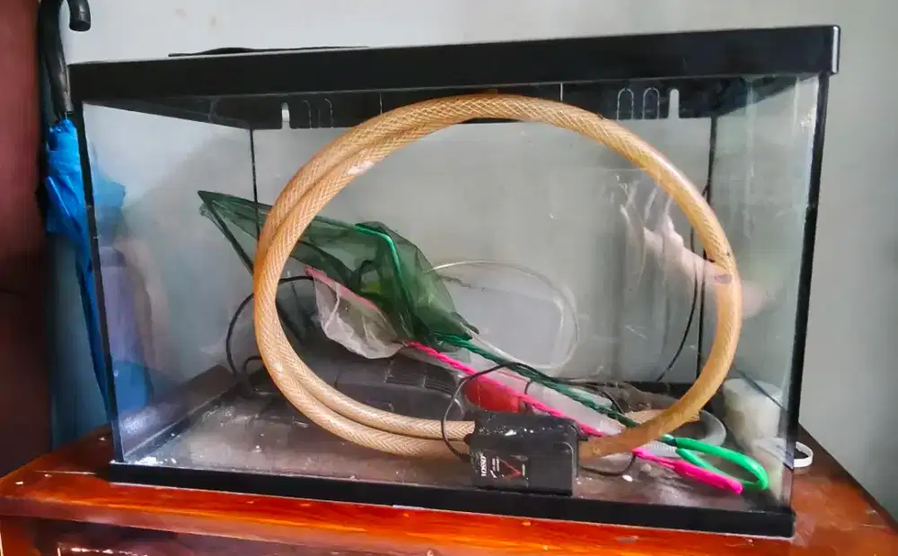 Aquarium kaca ( 60x30x50), dengan tutup aquarium