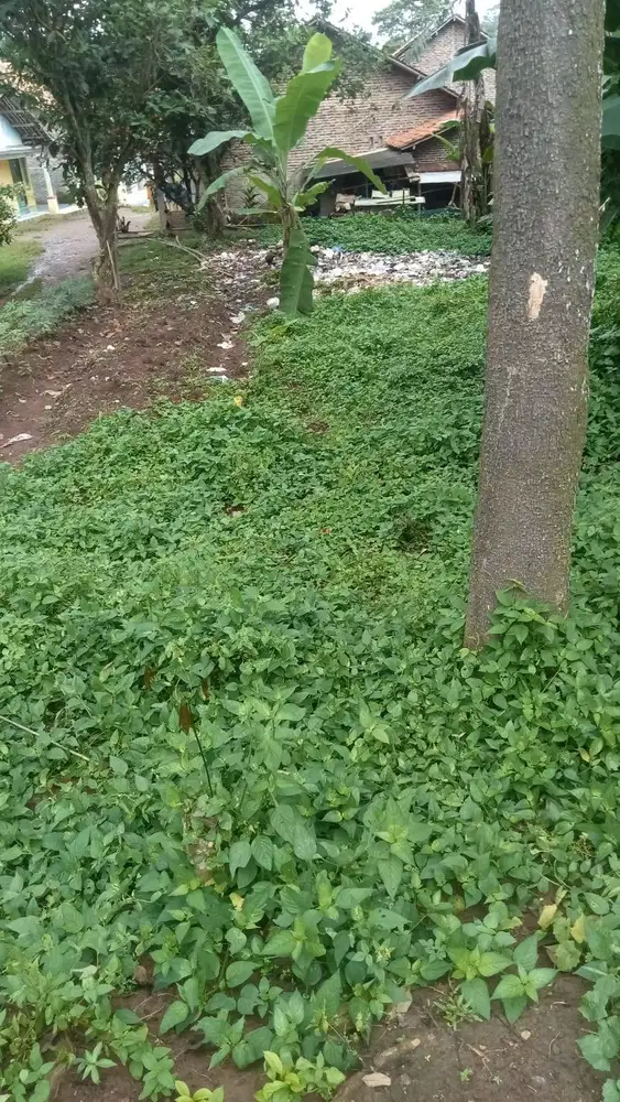 Dijual tanah BU kota serang