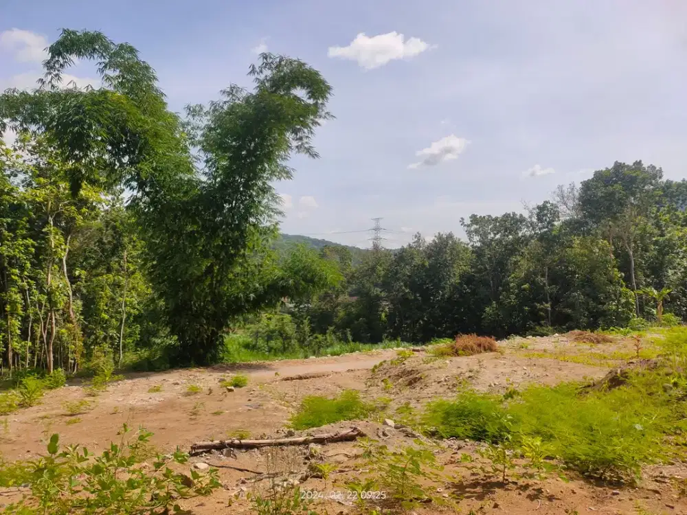 Tanah Suasana Asri, Tenang di Pleret Bantul