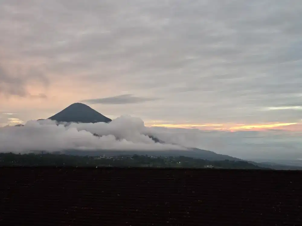 Lowongan Pekerjaan Admin