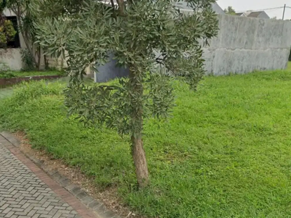 Masih bisa Nego Kavling The Mansion Pakuwon Indah Siap Bangun