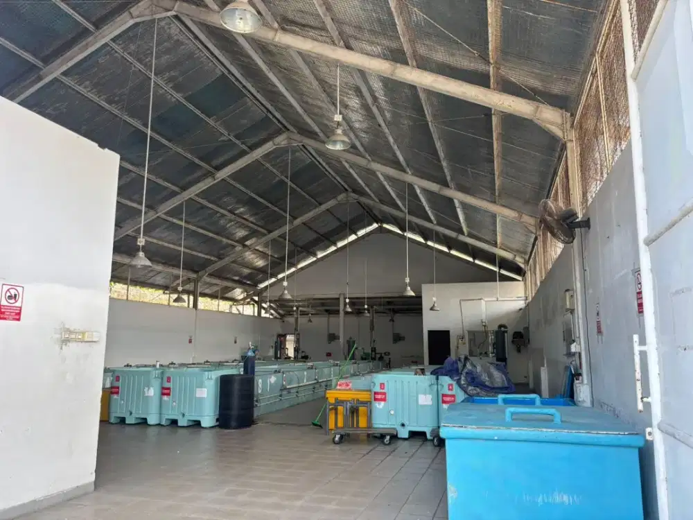 DIJUAL GUDANG STRATEGIS PINGGIR LAUT – BENOA, NUSA DUA