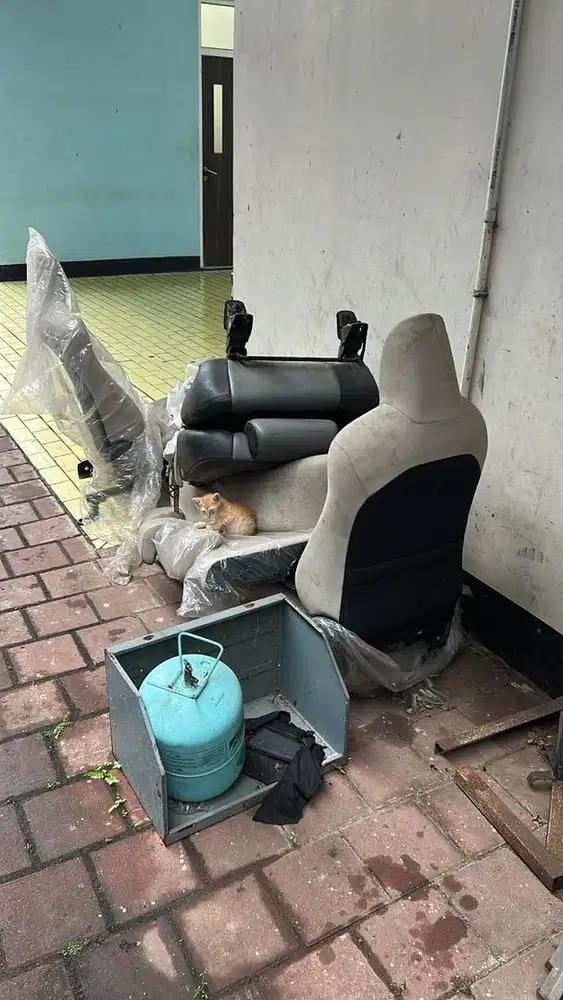 Jok copotan brio KOTOR