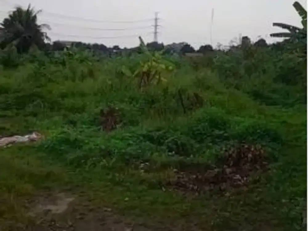 tanah dijual jl veteran cukanggalih,  Curug, Kabupaten Tangerang