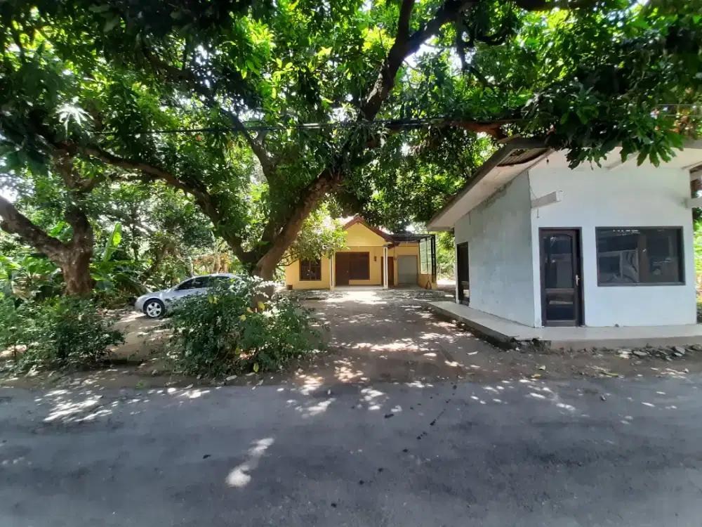 Disewakan rumah luas strategis cocok untuk bisnis pusat Tuban Jatim