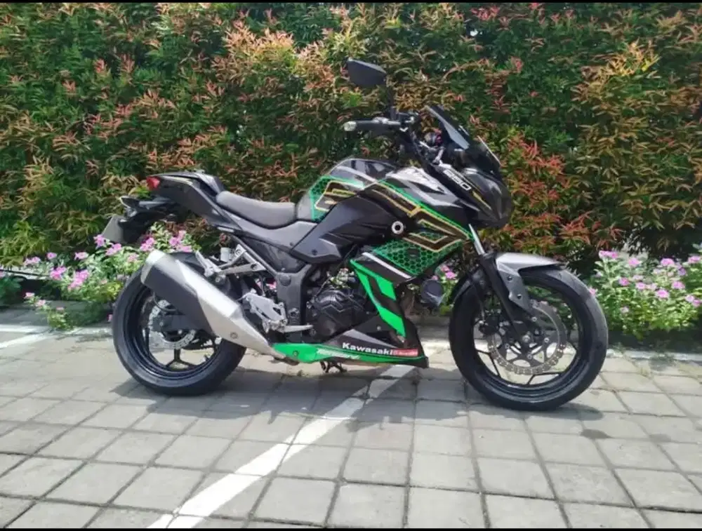 Z250 Kawasaki streetfighter