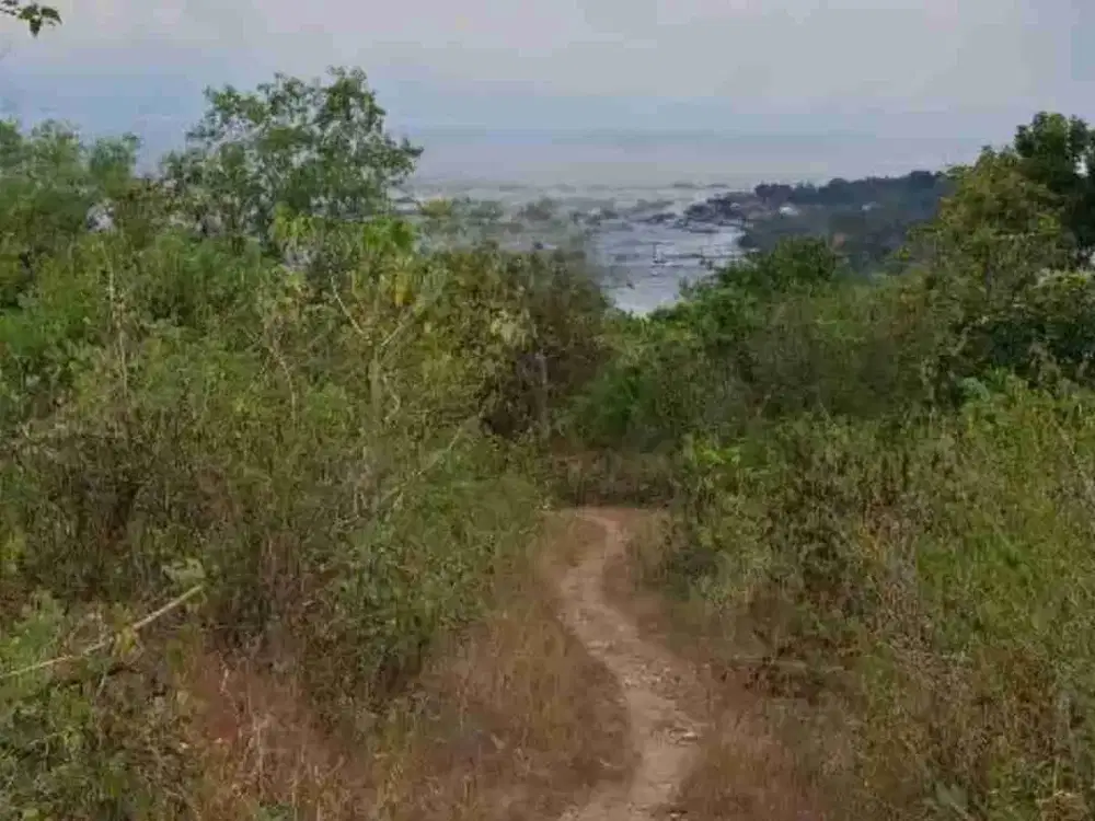 Tanah ocean view sakti nusa penida klungkung bali