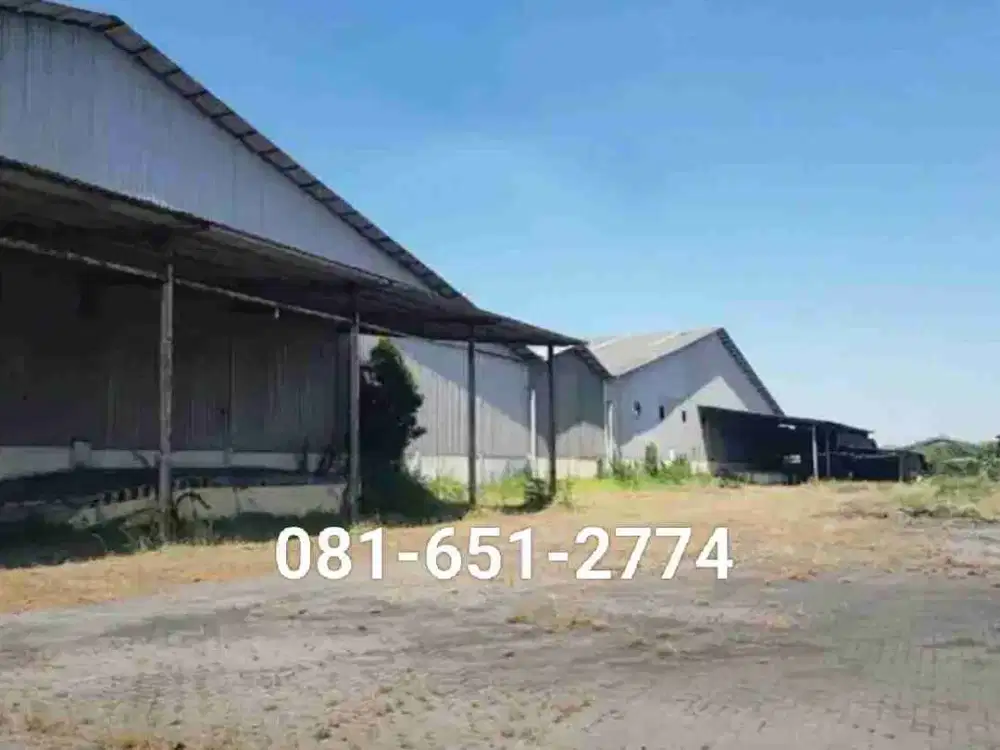 Pabrik Gudang di Margomulyo