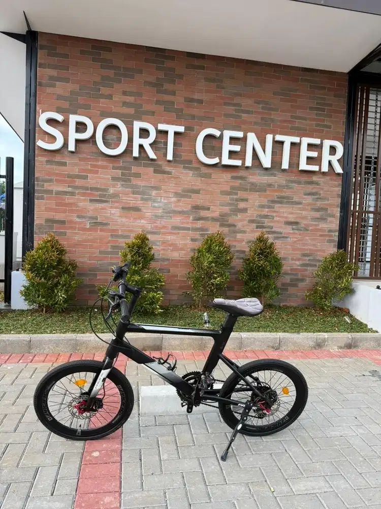 Pacific Minivelo Clash 5.0 22inch