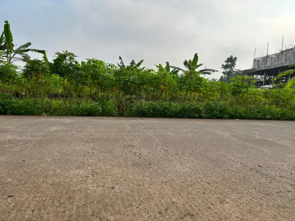 TANAH SIAP BANGUN COCOK BUAT KOST DI MULAWARMAN UNDIP TEMBALANG