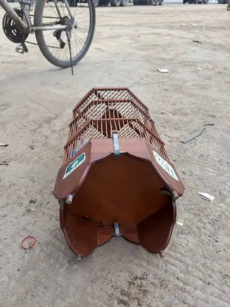 Kandang burung pleci