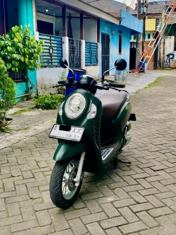 Honda scoopy 2024