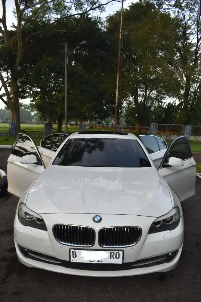BMW F10 520i N20 2013