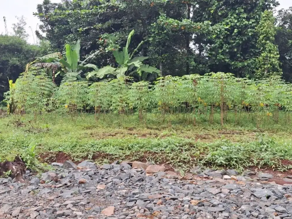 Dekat Pintu Tol Burangkeng, Tanah SHM Hanya 1 Jt-an