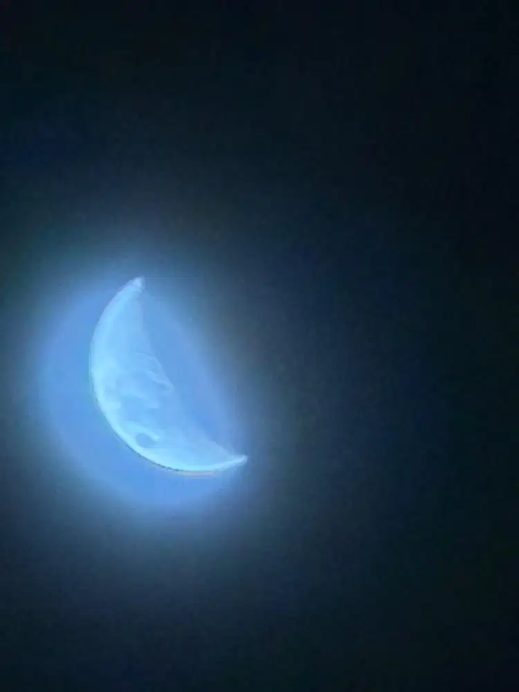 Butuh karyawan laki laki untuk jaga stand ayam