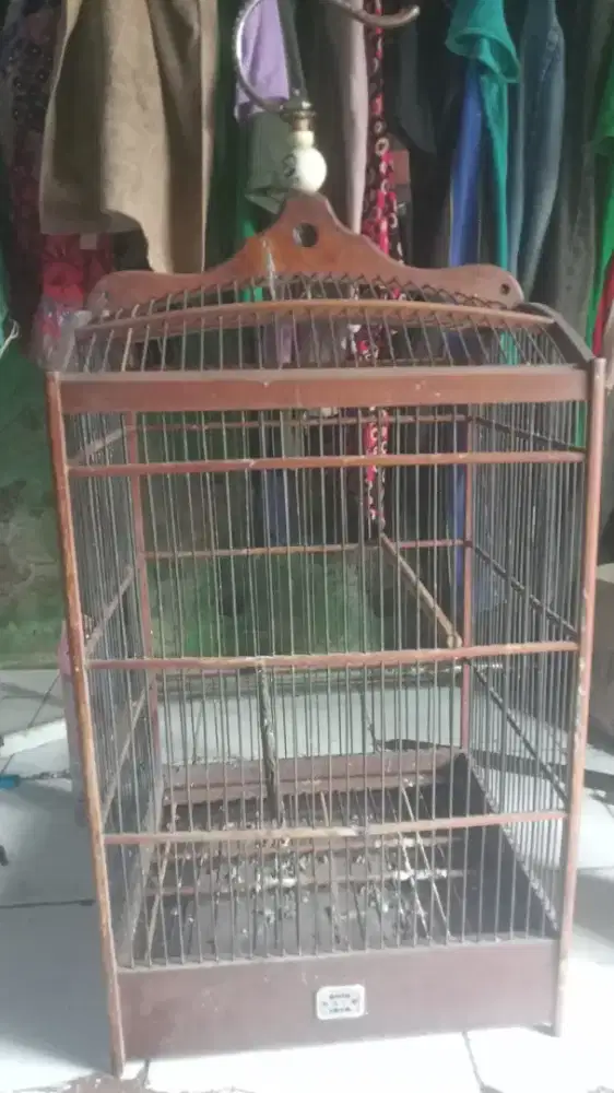 Sangkar oriq no 2 A1c1