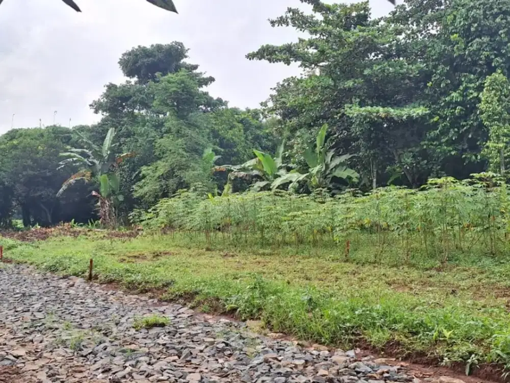 Kavling SHM Dekat Pintu Tol Burangkeng, Murah 1 Jt-an