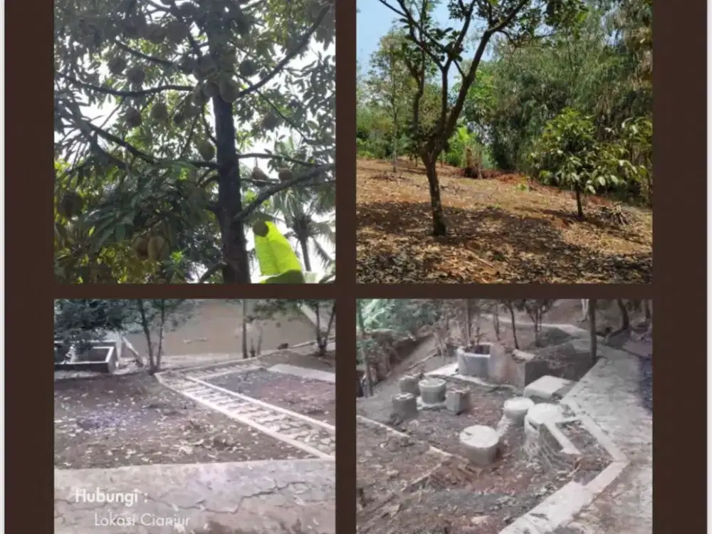 Dijual cepat tanah kebuh buah Cianjur