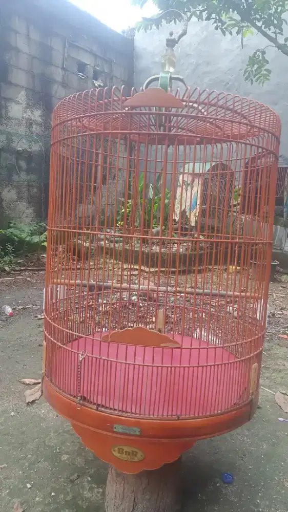 Sangkar burung MB no 2 BNR A3b1