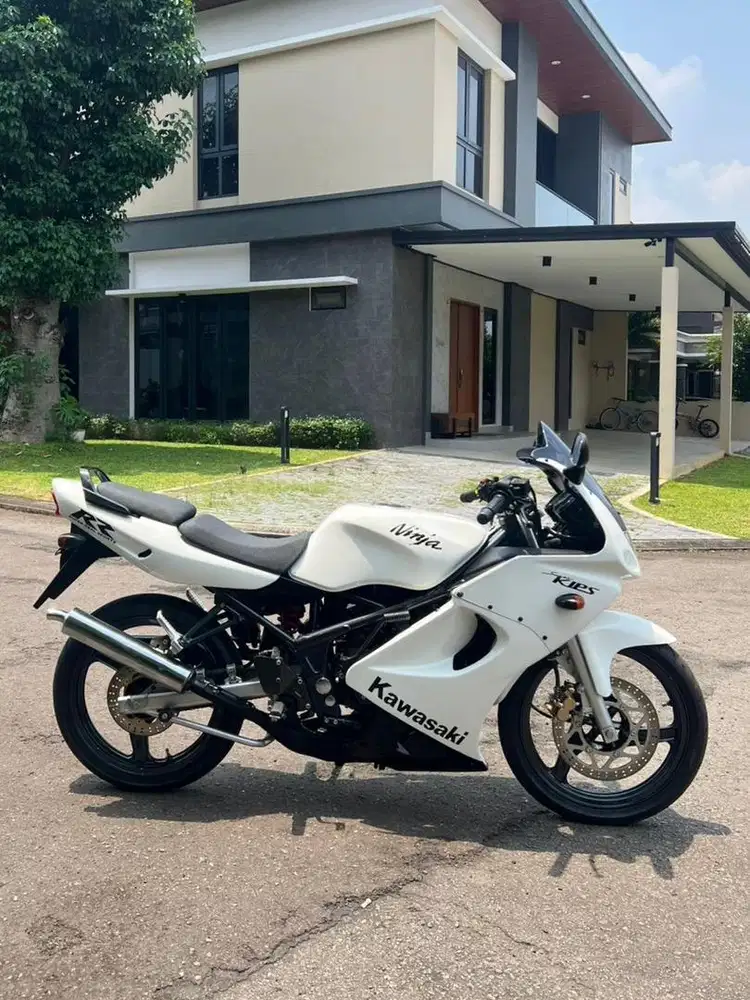 NINJA RR ASLI ALBINO BENING - MULUS - PAJAK HIDUP