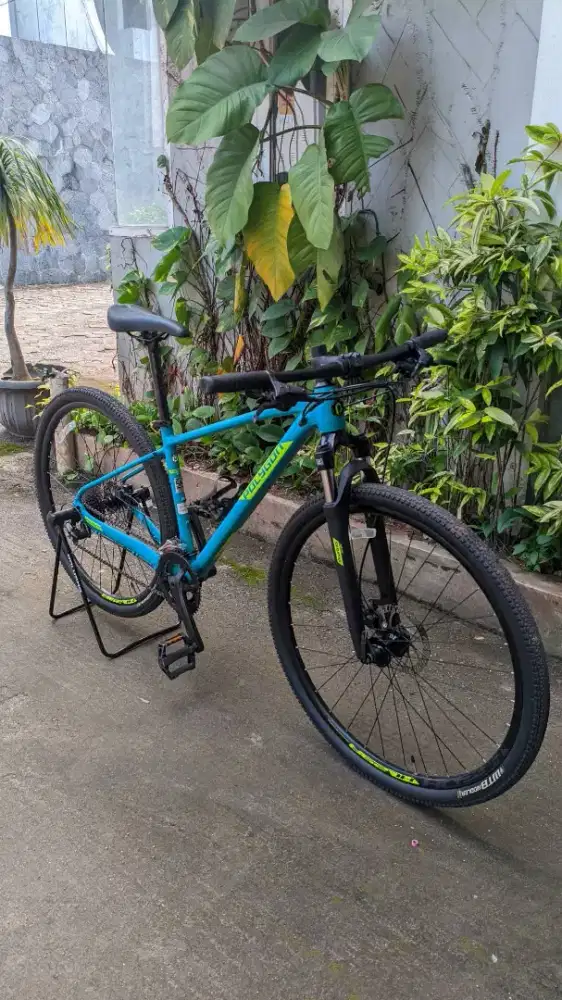 Polygon heist X2 Size M harga net