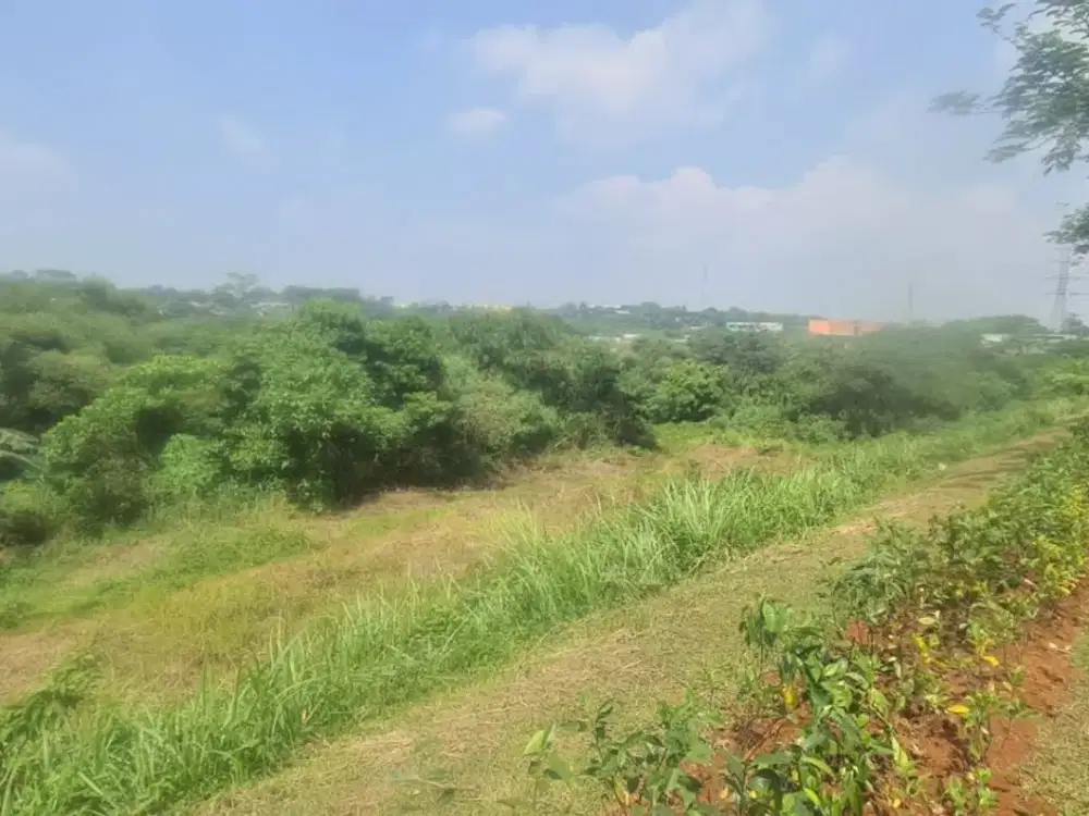 Jual Cepat Lahan CBD Cibubur 1,5 Ha SHM Lokasi Utama 50 Persen NJOP