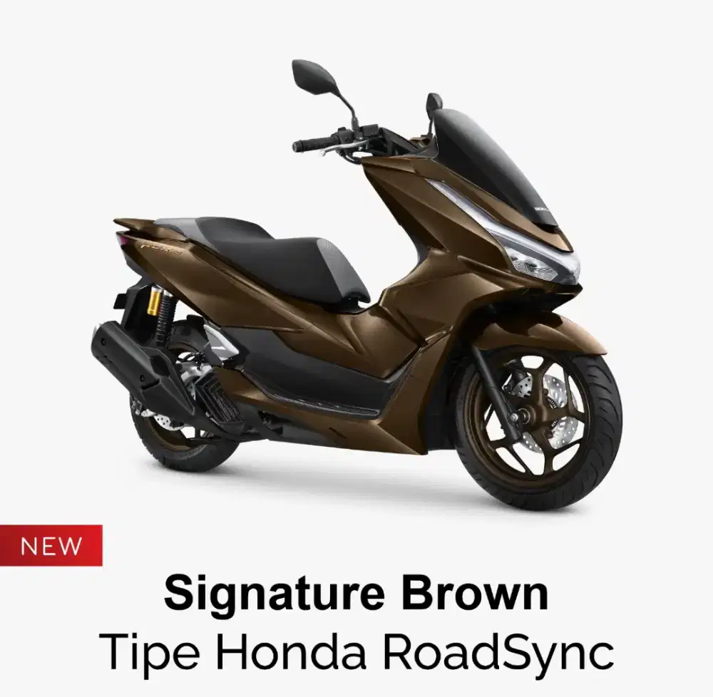 Honda PCX Roadsync