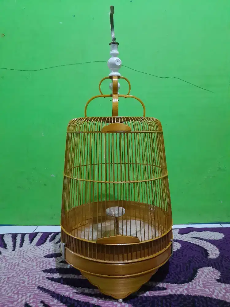 Sangkar burung lark buat br bisa