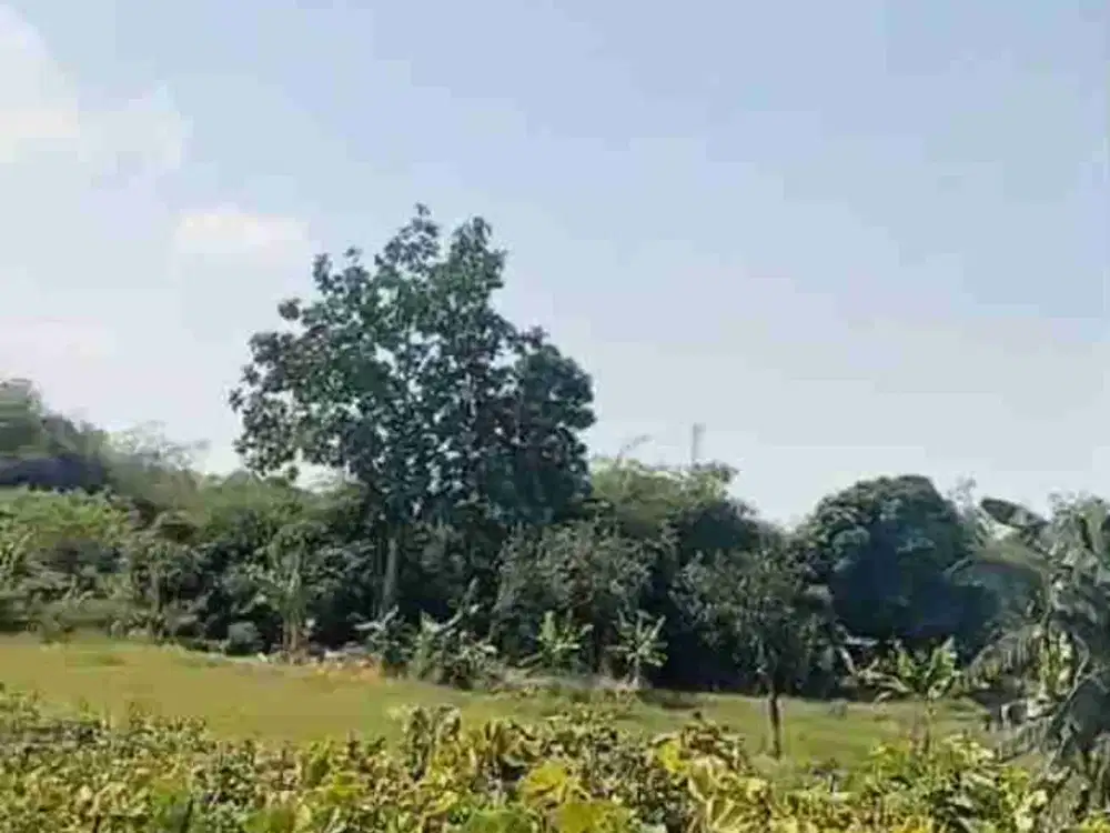 Dijual Tanah Strategis Dekat Pintu Tol Kerawang Timur