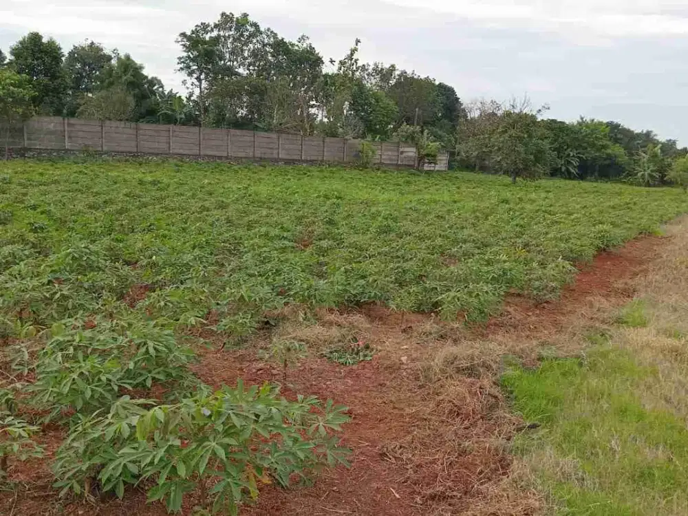 Tanah Strategis Pinggir Jalan Bogor Kemang