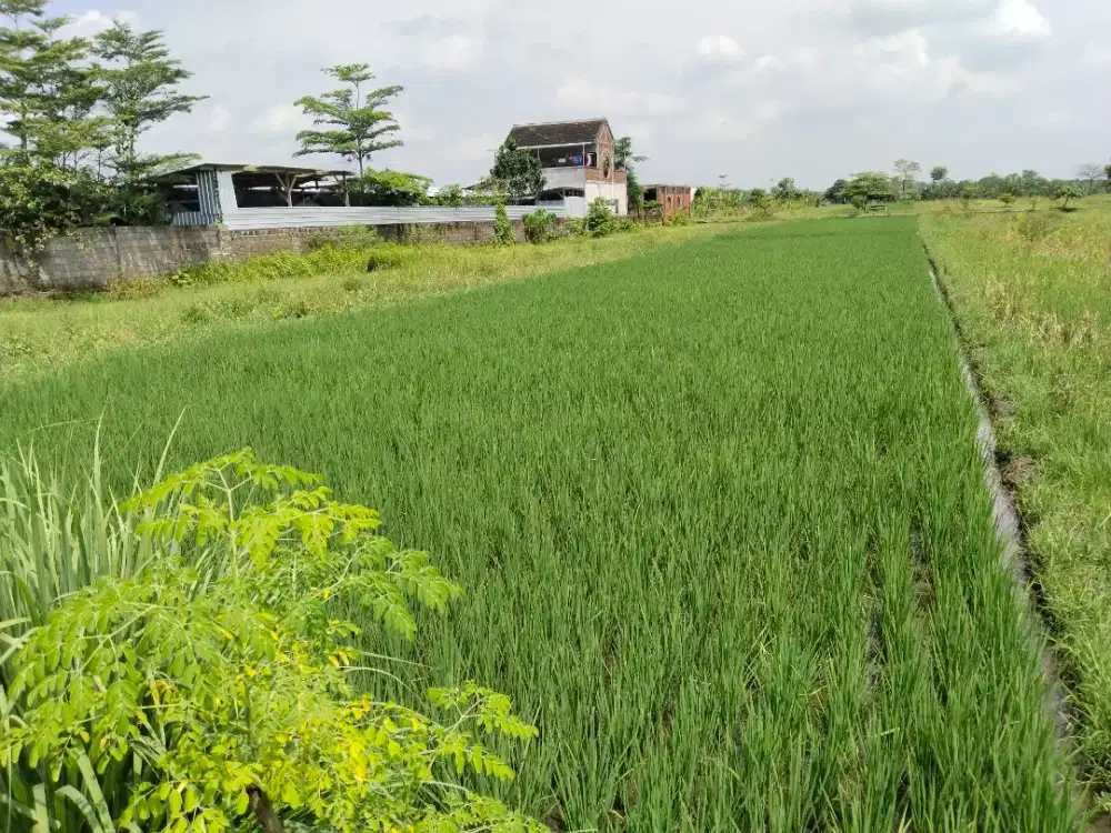 gaskannn dijual cepat 2 SHM