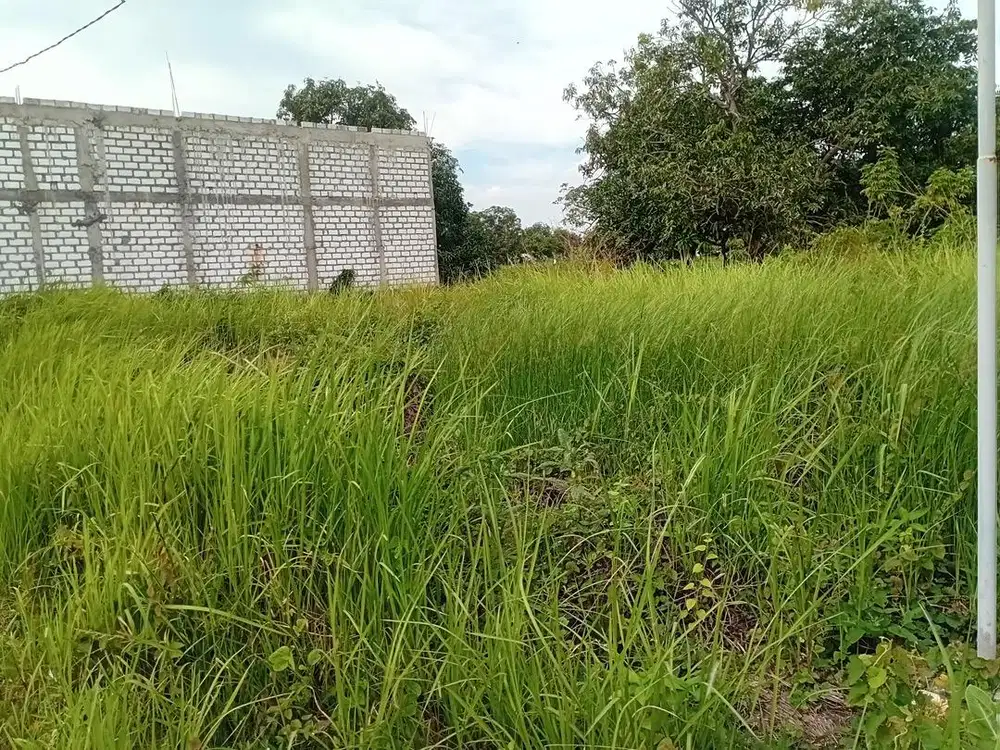 Peganden, Gresik - Tanah Kavling