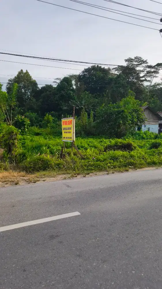 Dijual Cepat Tanah Jalan Poros