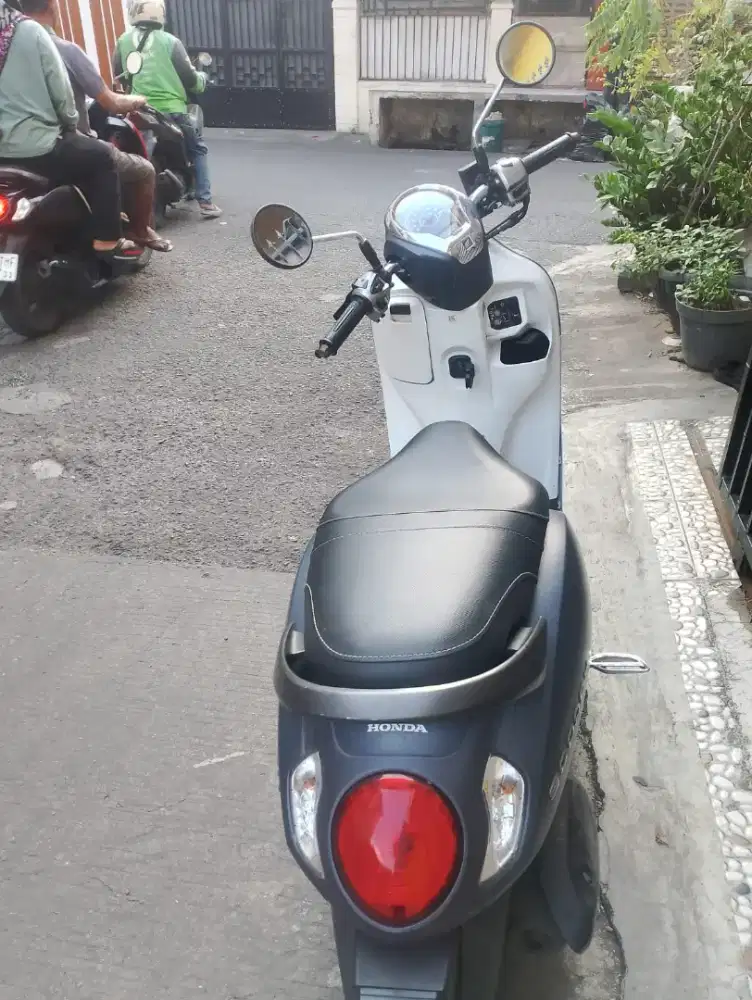 Honda Scoopy 2024