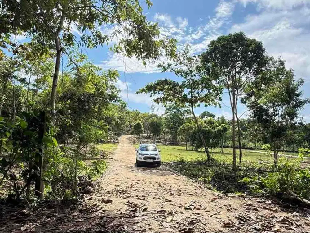 DIJUAL KAVLING PREMIUM – PECATU, BALI