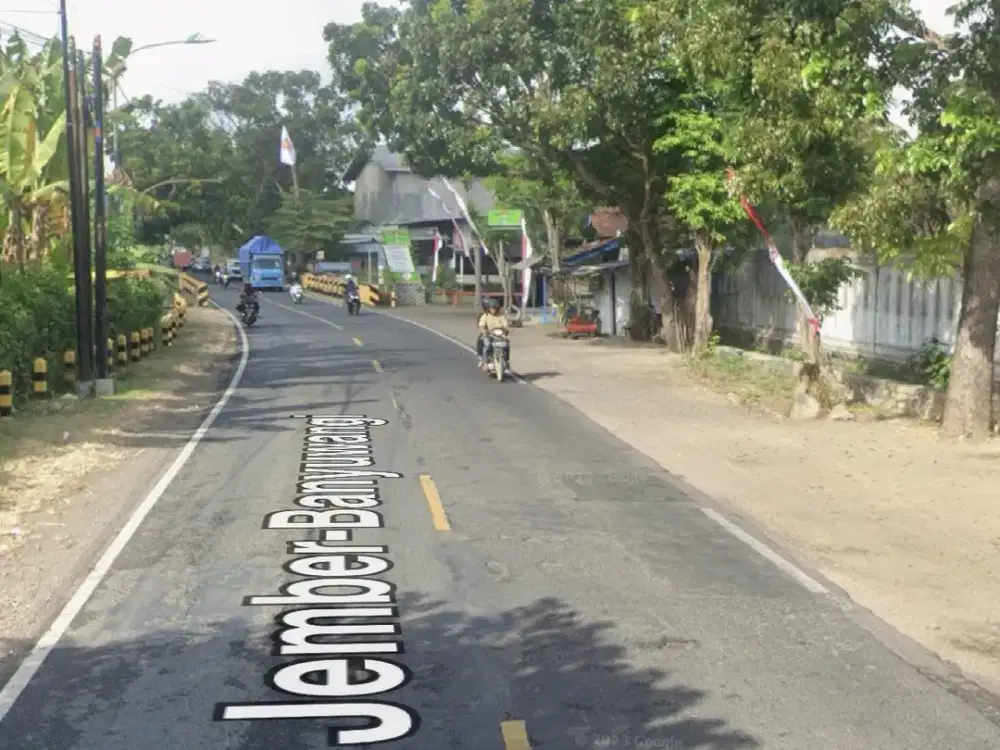 Raya jember banyuwangi rogojampi